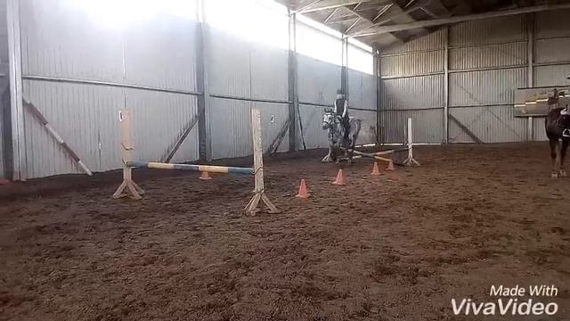 |Моя и Сонина тренировки|Прыгаю 70см!|Либерти•Каспер| смотреть онлайн