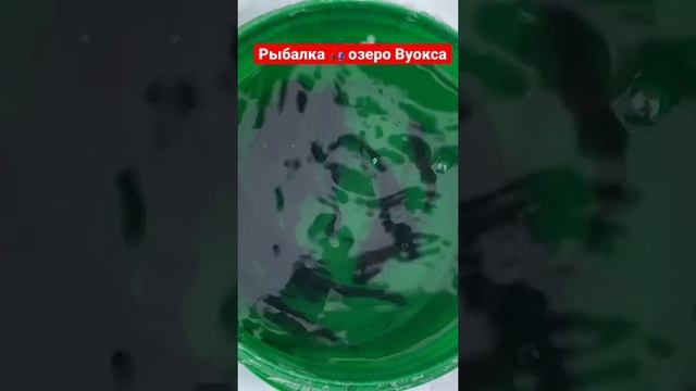 Рыбалка на озере Вуокса смотреть онлайн