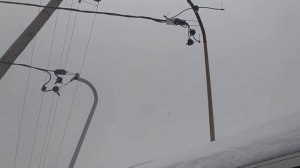 Подключили к электричеству гараж, приняли Россети