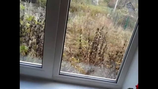 Окна ПВХ. Осмотр и приёмка. Как осмотреть окно и на что обратить внимание! смотреть онлайн