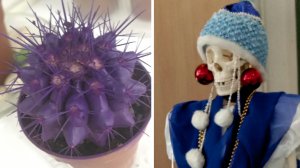 Фото подписчиков Фактории (166 часть)