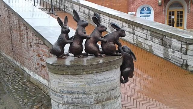 Зайцы Петропавловской крепости. смотреть онлайн
