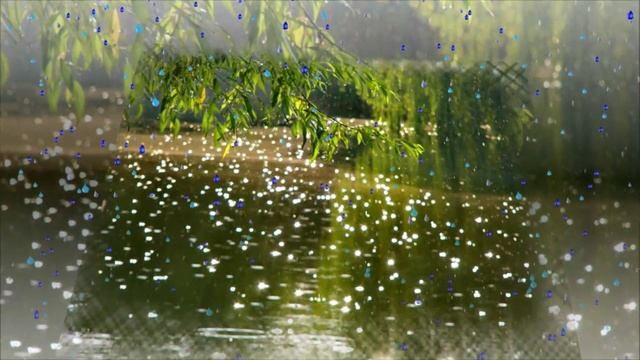 Разговор с дождём