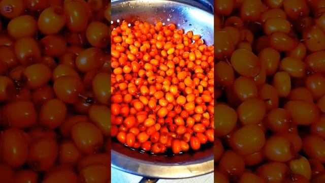 Учебник по Таланту и Творчеству