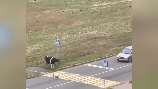 Random Acts of Kindness That Will Make You Cry ! смотреть онлайн
