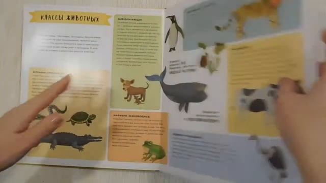 "Атлас доисторического мира" - залезем в дебри геологической истории. Совместно с Анной (Ninaknop) смотреть онлайн