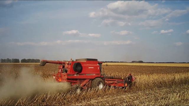 Кейс 2388 молотимо чорне золото Соняшник Піонер Уборка Подсолнуха 2021