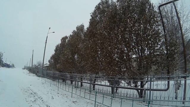 Зимнее Сколково