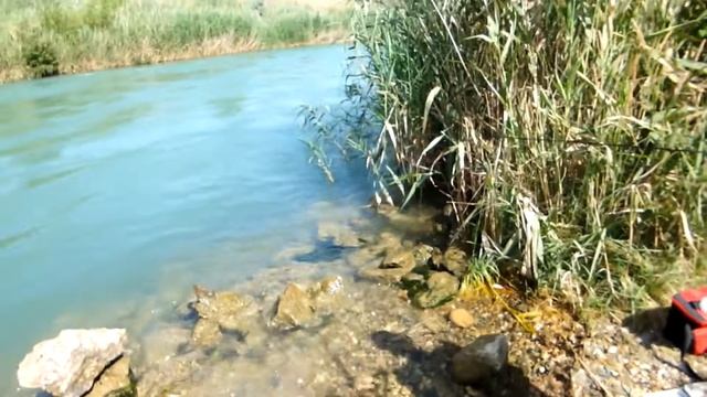 Маховое удилище для окуня 22 07 22 смотреть онлайн