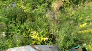 косилка кдн 210 в действии