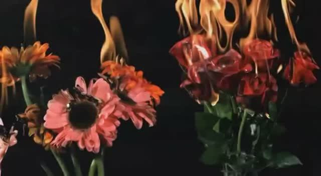 DANHEIM - Heljarfor.avi