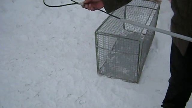 Гуманный отлов ПЕТЛЯ смотреть онлайн