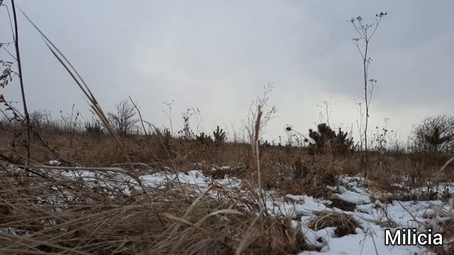 КАК ПРАВИЛЬНО ОДЕТЬСЯ ЗИМОЙ?milicia смотреть онлайн