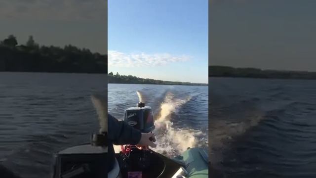 Тохатсу 5 смарт 310 смотреть онлайн