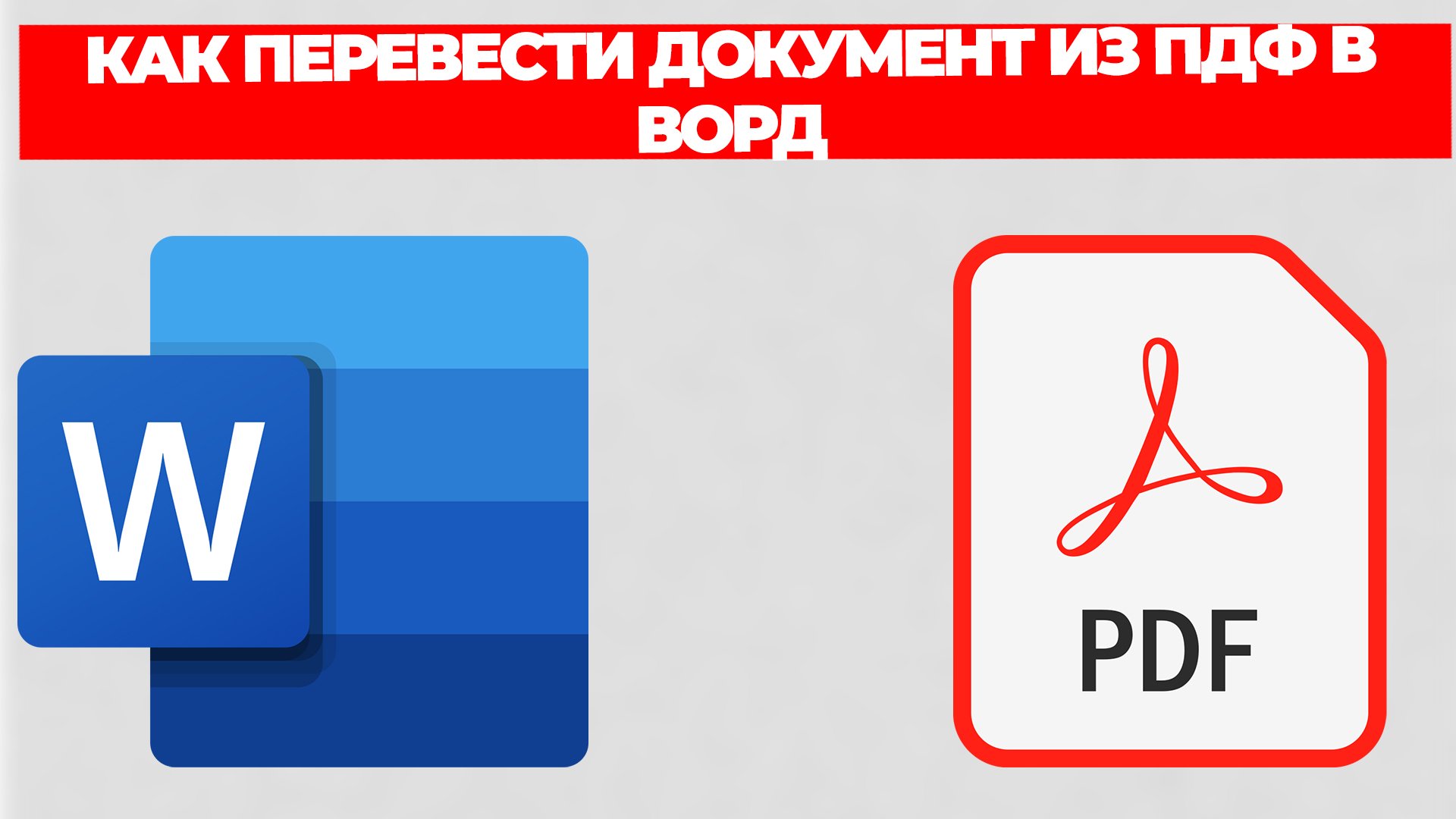 Всезнающий Енот