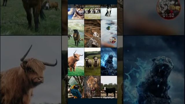 Выбираю заставку на экран блокировки смотреть онлайн