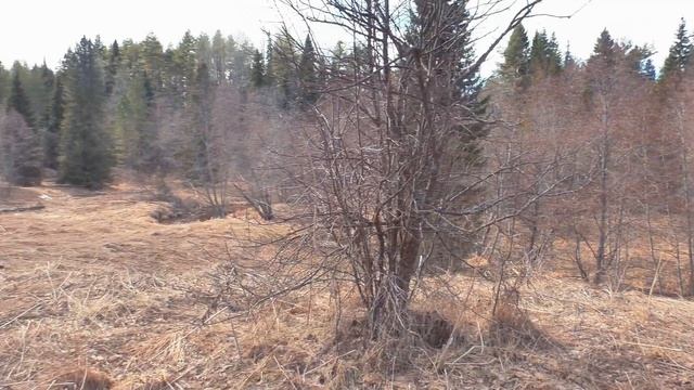 В этой деревне был найден клад.