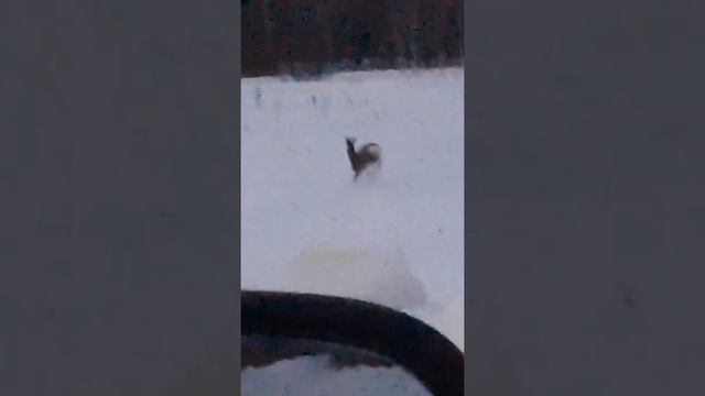 10 февраля 2024 г. смотреть онлайн