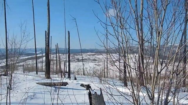 Тундра 550 на вывозке мяса.День второй. смотреть онлайн