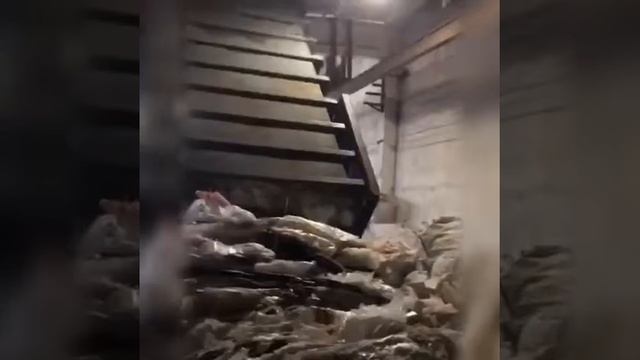 Переработка пленки Plastic film recycling смотреть онлайн