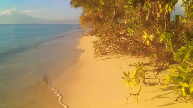Our Tsoilik Island Adventure смотреть онлайн