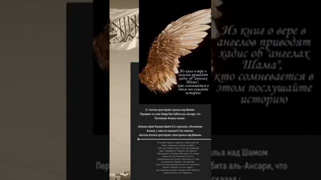 Рассказ Мусульманина смотреть онлайн