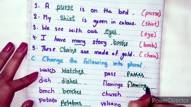 Worksheet of s or es,singular and plural number,s or es ka use,s or es ka prayog,Kids learning Hous смотреть онлайн