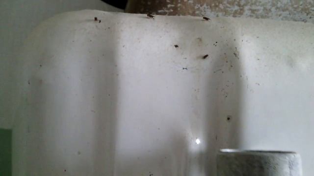 Домовладелец Pro