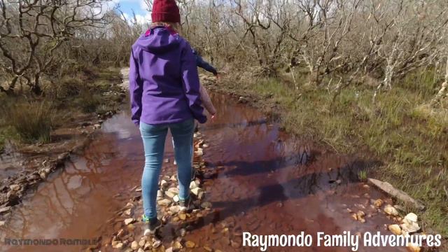 Goss moor Cornwall geocaching (A muddy Family walk) смотреть онлайн