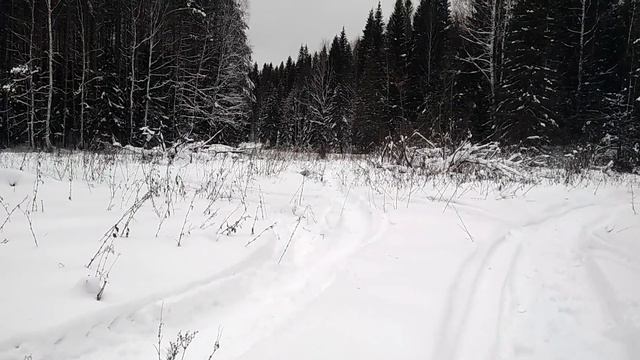 За чаем и хлебом с колбасой. смотреть онлайн
