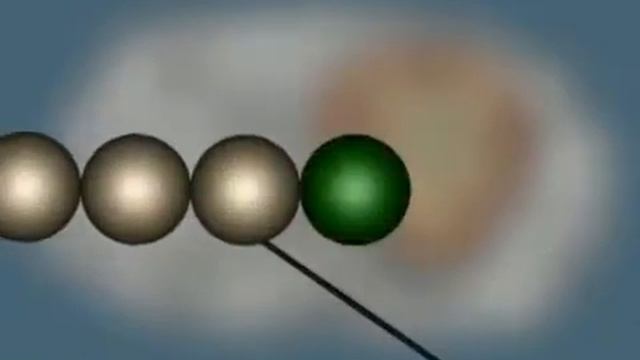 Клетка, ядро, функции белка смотреть онлайн