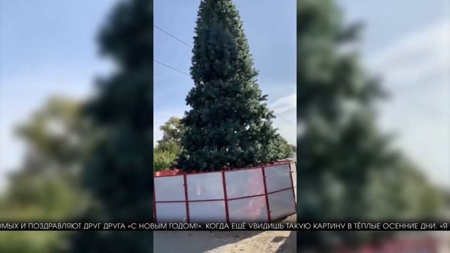 В Калаче-на-Дону установили новогоднюю ёлку в сентябре смотреть онлайн