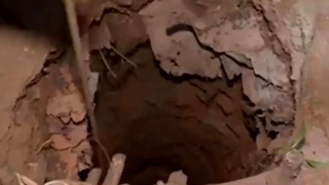 Всю свою жизнь пёс прожил в туалетной яме не видя белого света!