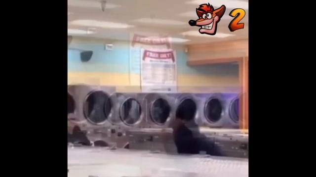 crash bandicoot does his laundry смотреть онлайн