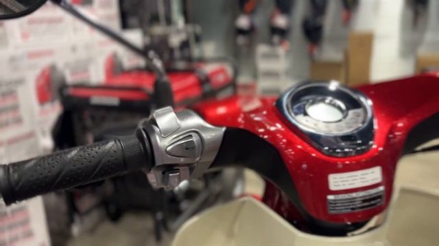 New 2021 Honda Super Cub C125 Scooter For Sale In Sebring, FL смотреть онлайн