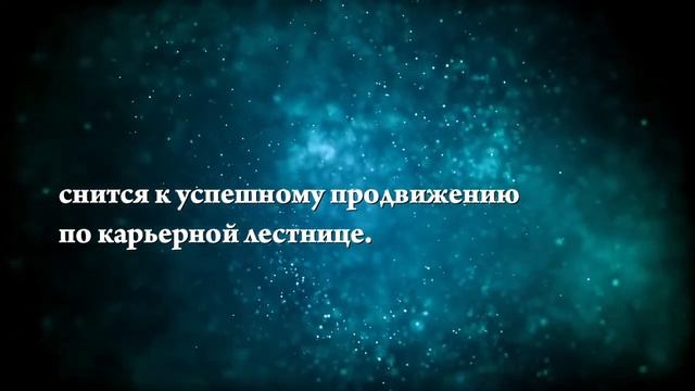 К чему снится белый котенок - Онлайн Сонник Эксперт смотреть онлайн