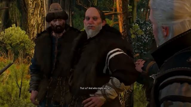 The Witcher 3 Quest In the Heart of the Woods both Ending смотреть онлайн