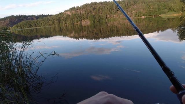 Ловля щуки на раттлитны. Ловля окуня на раттлины. Ловля окуня на вертушки. смотреть онлайн