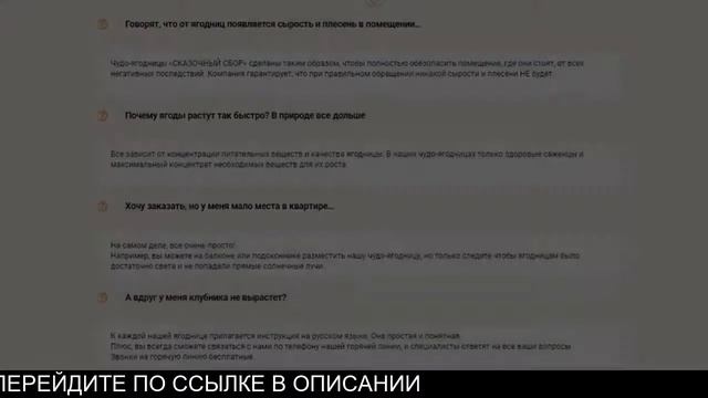Клубника дома, чудо ягодница сказочный сбор, отзывы смотреть онлайн