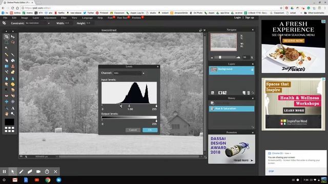 PIXLR - B&w And Contrast