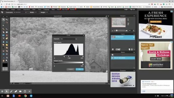 PIXLR - b&w and contrast