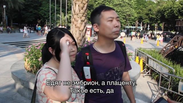 Животные и Дети