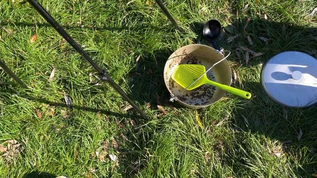 Ловля карпа осенью | Озеро Торфяное | Карпфишинг смотреть онлайн