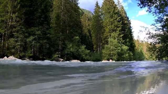 Мальчик кричал на весь лес от боли и отчаяния, пока на вой не вышел волк. И тогда началось... смотреть онлайн