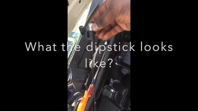 Nissan Cube 2010 CVT Transmission Dip Stick