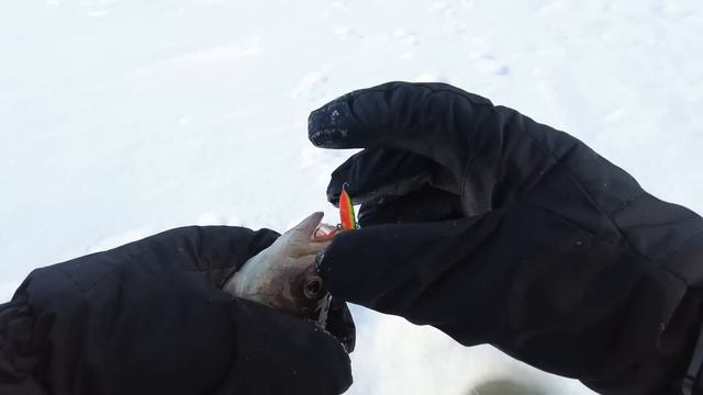 23 февраля на Рыбинке. Неожиданные встречи. смотреть онлайн