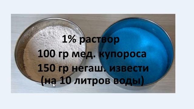 Весенняя обработка сада от вредителей и болезней / Когда и как обрабатывать деревья весной смотреть онлайн