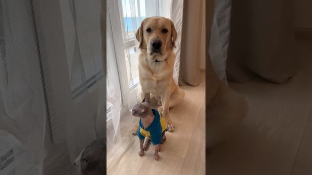 Самые смешные видео Дени и Мэни за Январь ??