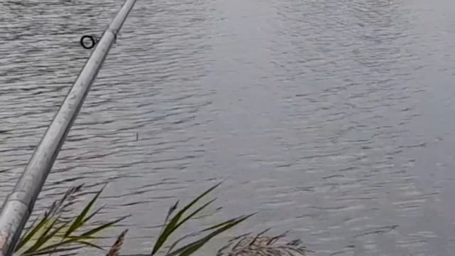 РЫБАЛКА НА ПОПЛАВОК В КОНЦЕ ОКТЯБРЯ 2022! смотреть онлайн