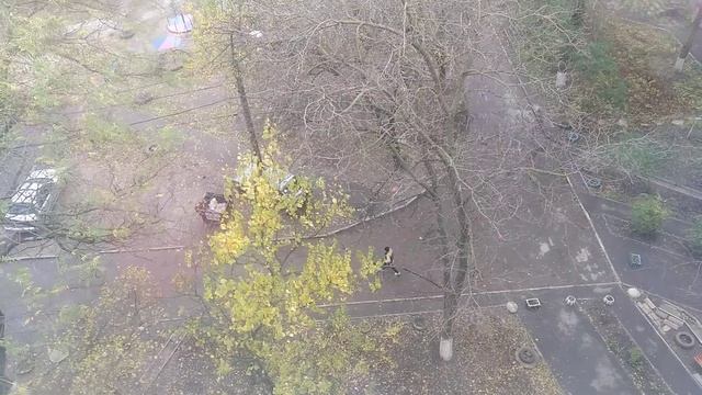 ЗАПОРОЖЬЕ БАБАХАЛО РЯДОМ РАКЕТЫ ЛЕТАЮТ 15.11.23 смотреть онлайн